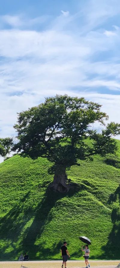 Korean nature & park & aesthetic aesthetic wallpaper for phone