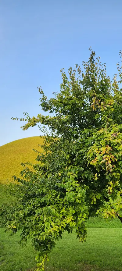 Gyeongju-si