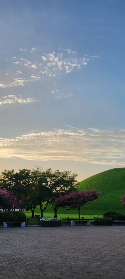 Korean park & flower & sunset & nature aesthetic wallpaper for phone