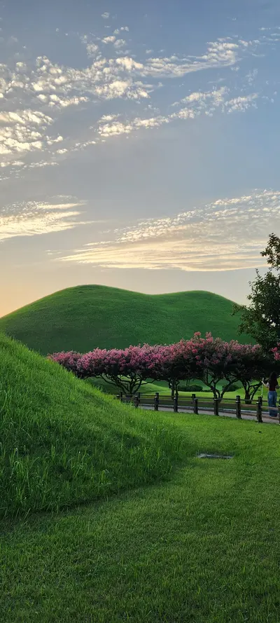 Korean park & flower & nature & aesthetic aesthetic wallpaper for phone