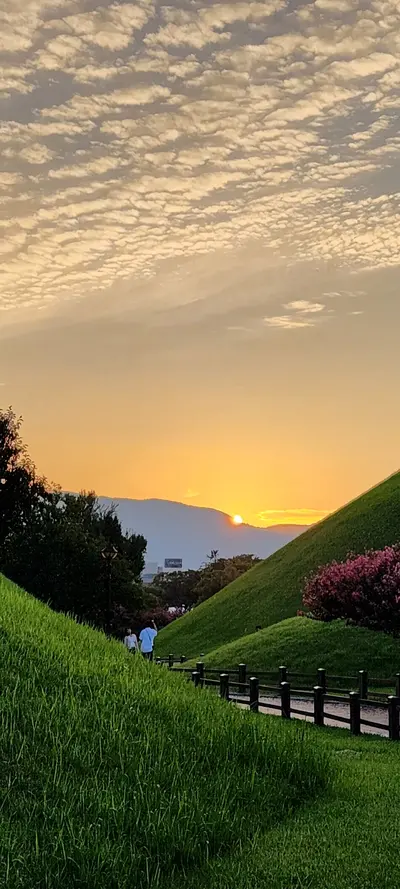 Korean park & sunset & nature & aesthetic aesthetic wallpaper for phone