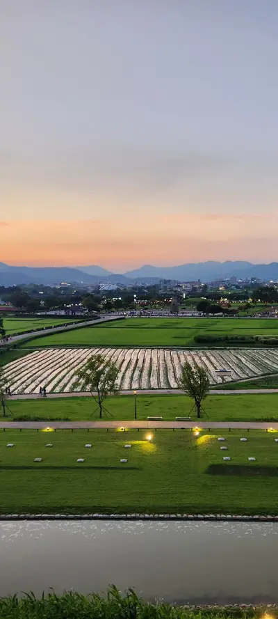 Korean park & sunset & nature aesthetic wallpaper for phone