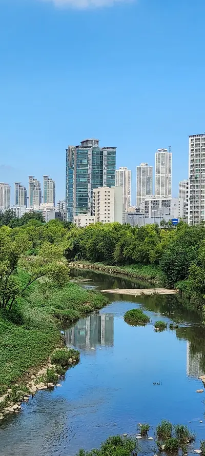 Korean river & architecture & nature aesthetic wallpaper for phone