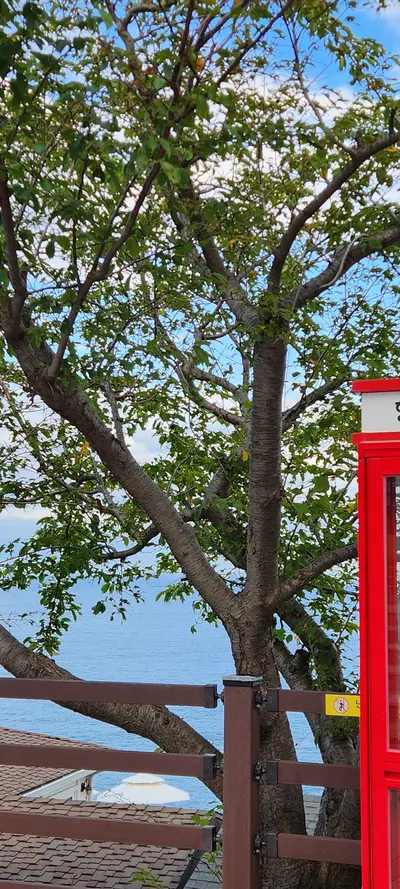 Korean sea & nature & aesthetic aesthetic wallpaper for phone