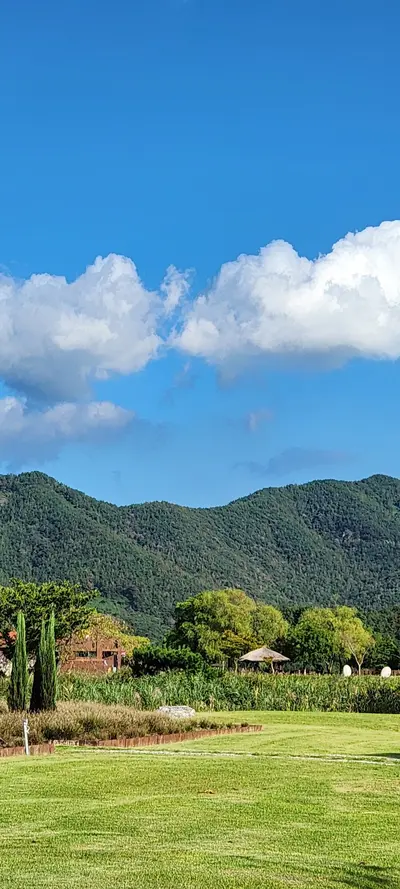 Korean nature & mountain & park aesthetic wallpaper for phone