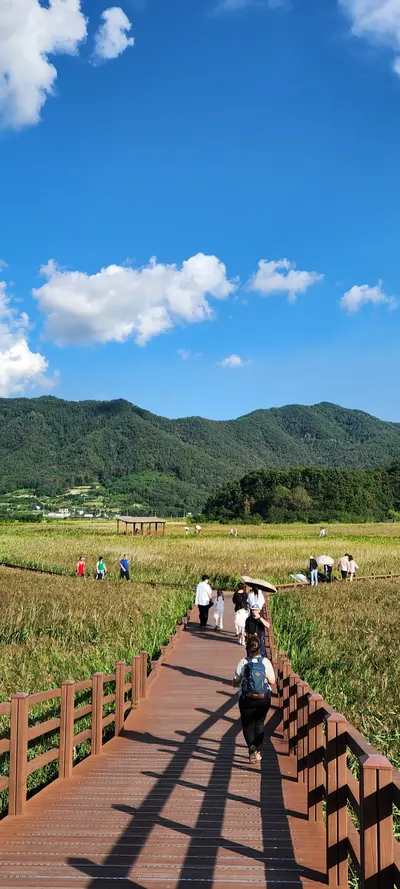 Korean nature & mountain & park aesthetic wallpaper for phone