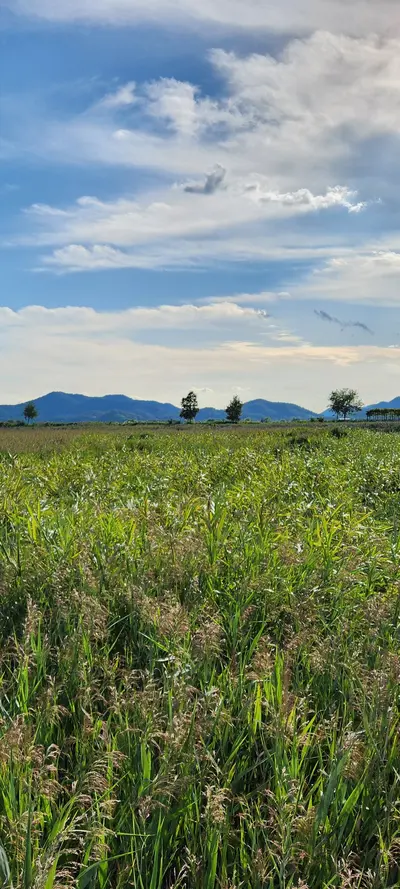 Suncheon-si