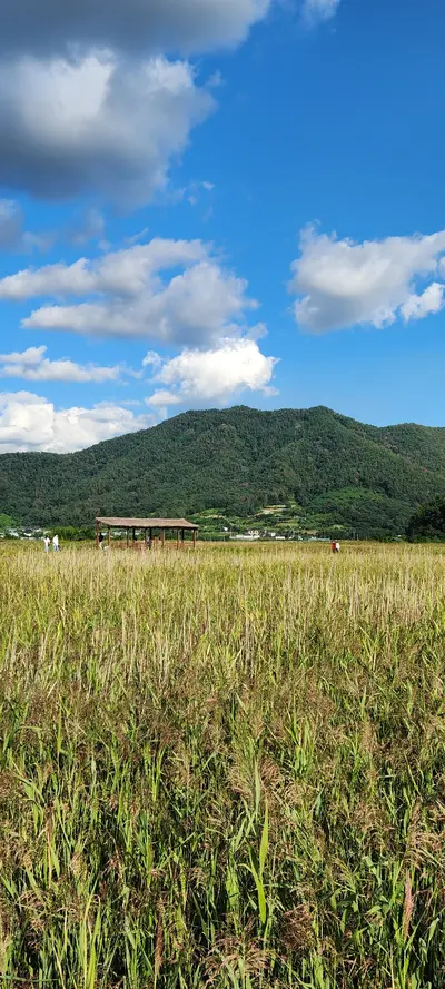 Suncheon-si
