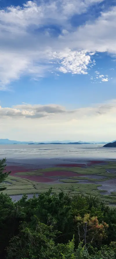 Korean Nature & Sea & Coast & Mountains & Trails aesthetic wallpaper for phone