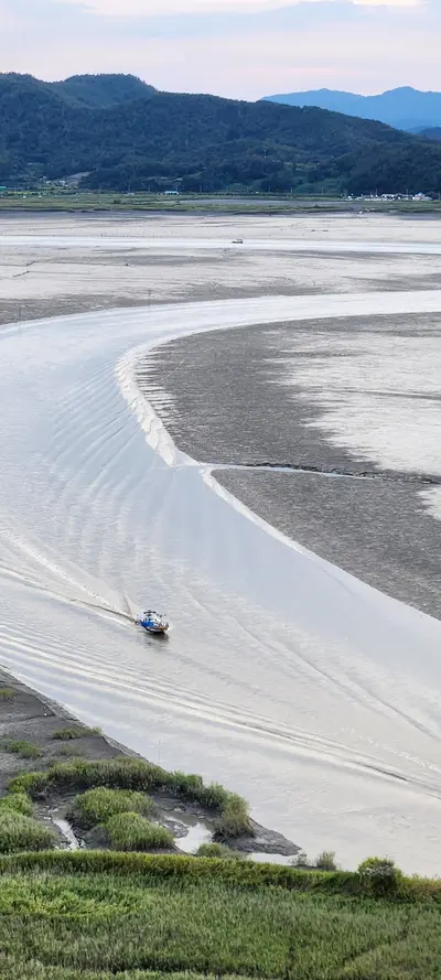 Korean nature & sea & river & sunset aesthetic wallpaper for phone