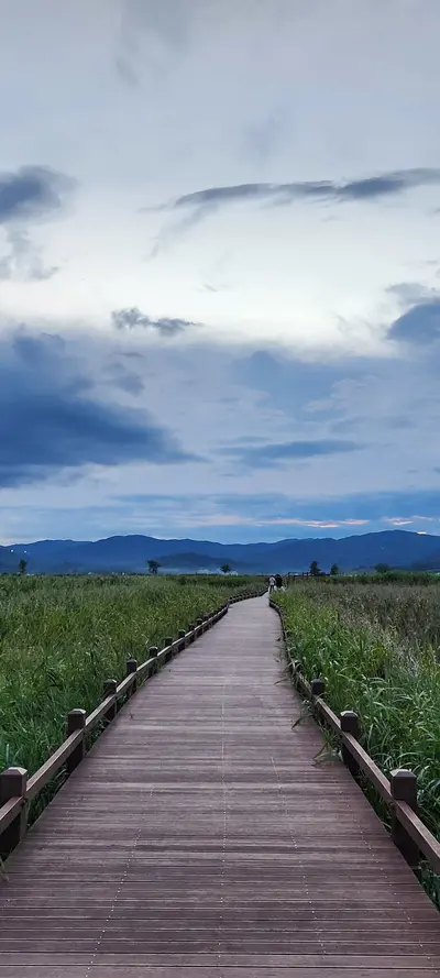 Korean nature & park & mountain & aesthetic aesthetic wallpaper for phone