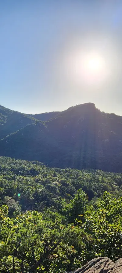 Korean Nature & Mountains & Trails & Forest aesthetic wallpaper for phone