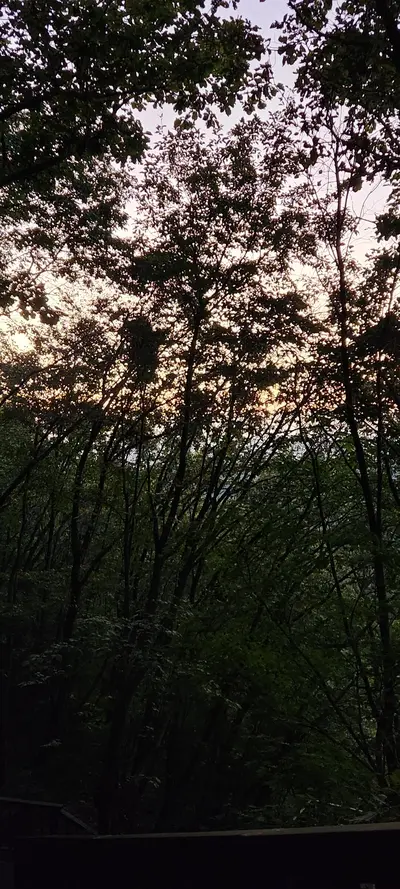 韓国の山・トレイル・夕焼け・自然の無料壁紙