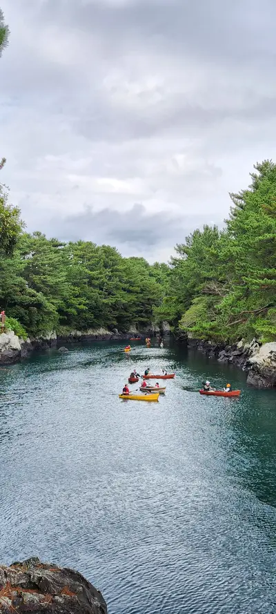 Korean sea & nature & forest aesthetic wallpaper for phone