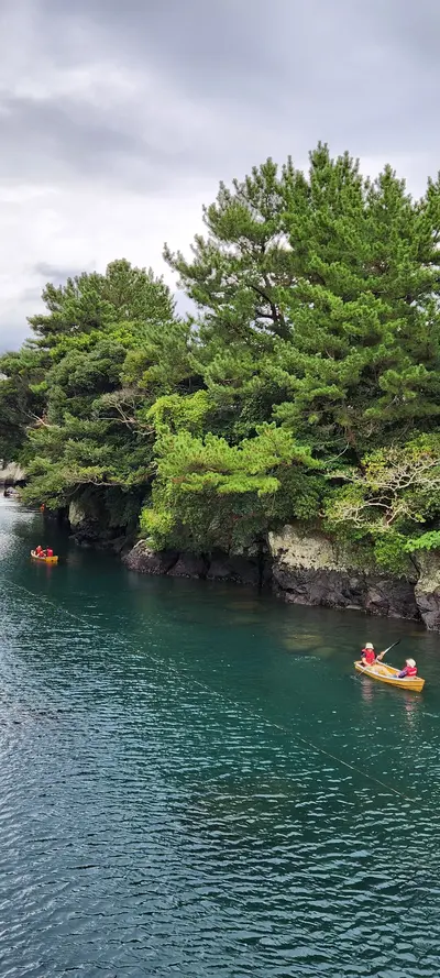 Korean sea & nature & forest aesthetic wallpaper for phone