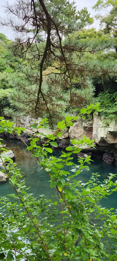 Korean nature & sea & forest aesthetic wallpaper for phone