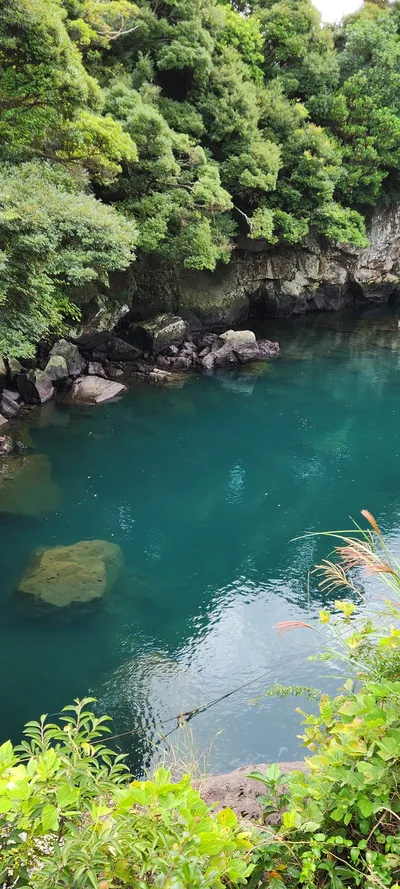 Korean nature & sea & forest aesthetic wallpaper for phone