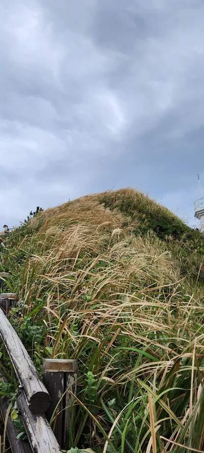 Seogwipo-si
