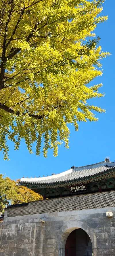 Korean architecture & autumn & nature & hanok aesthetic wallpaper for phone