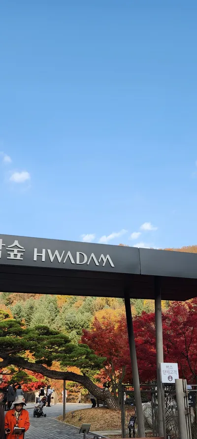 Korean park & autumn & nature aesthetic wallpaper for phone