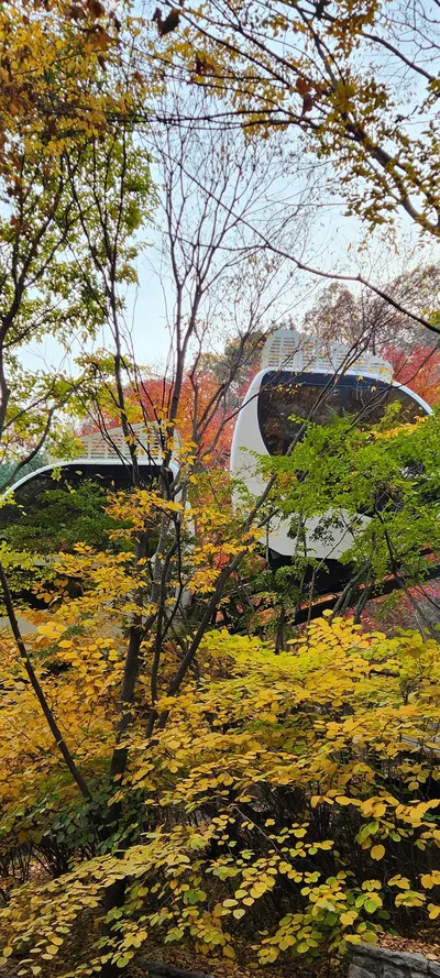 Korean nature & autumn & park & architecture aesthetic wallpaper for phone