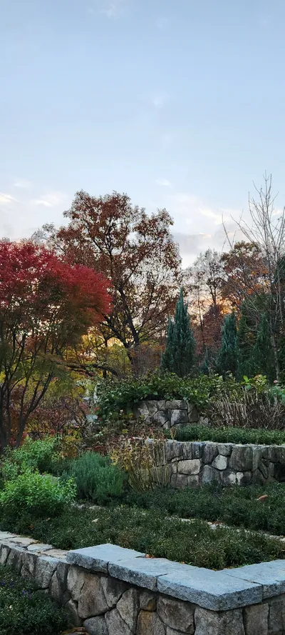 Korean nature & autumn & park aesthetic wallpaper for phone