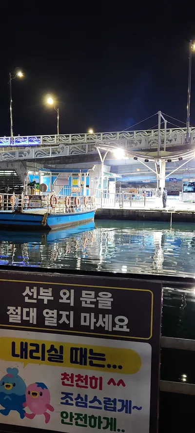 Korean sea & seoul-nights aesthetic wallpaper for phone