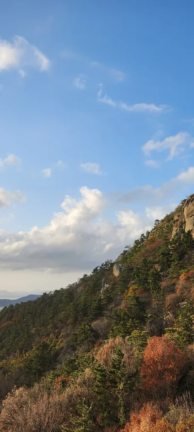 Korean mountain & autumn & sea & nature aesthetic wallpaper for phone