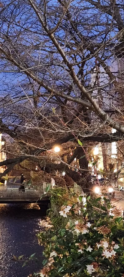 Kyoto, Japan