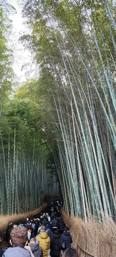Kyoto, Japan