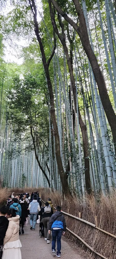Kyoto, Japan