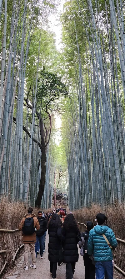 Kyoto, Japan