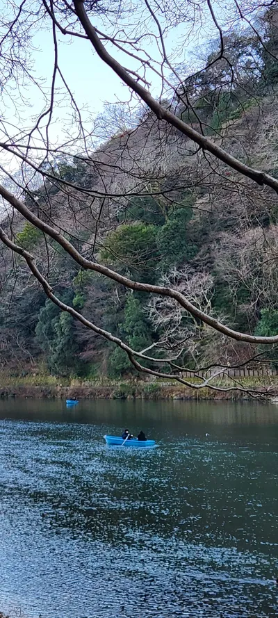River & Lake & Nature travel wallpaper