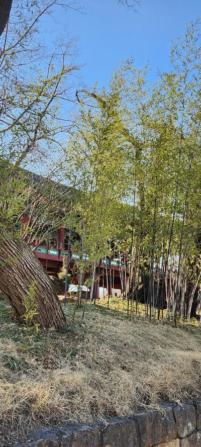 Seongnae-dong, Samcheok-si