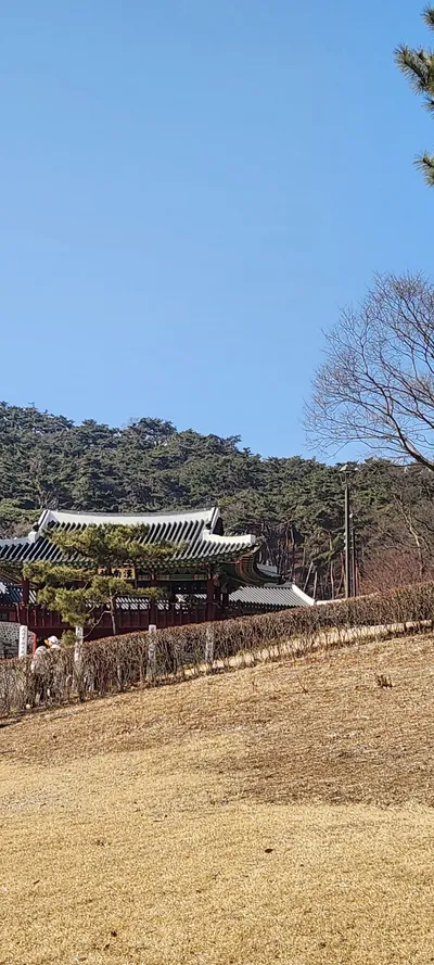 Korean hanok & nature & park aesthetic wallpaper for phone
