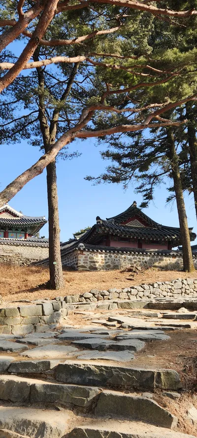 Korean architecture & hanok & nature aesthetic wallpaper for phone