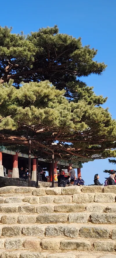 Korean architecture & hanok & nature aesthetic wallpaper for phone