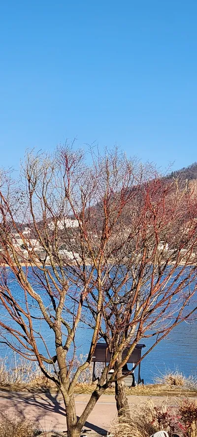 Korean forest & mountain & park & river & snow aesthetic wallpaper for phone