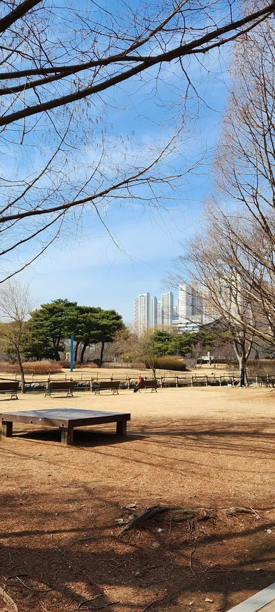 韓国の公園・庭園・自然・森の無料壁紙