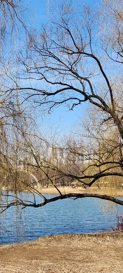 Korean park & nature & river aesthetic wallpaper for phone