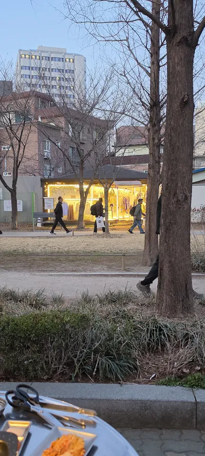 韓国の公園・庭園・ストリートの無料壁紙