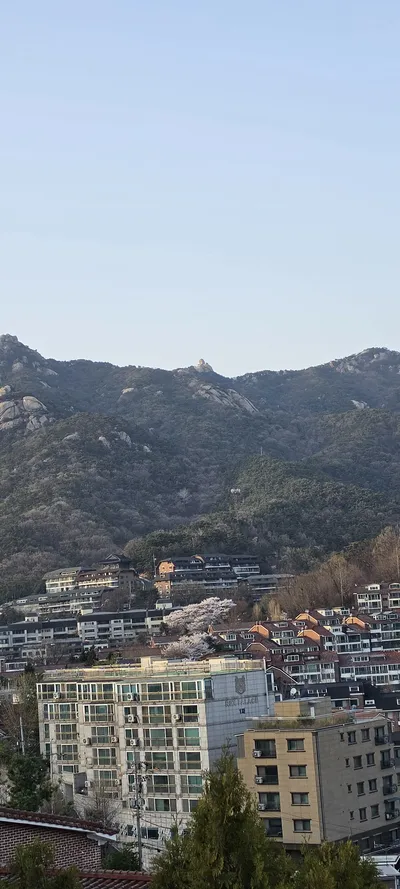韓国の山・トレイル・建築・桜の無料壁紙