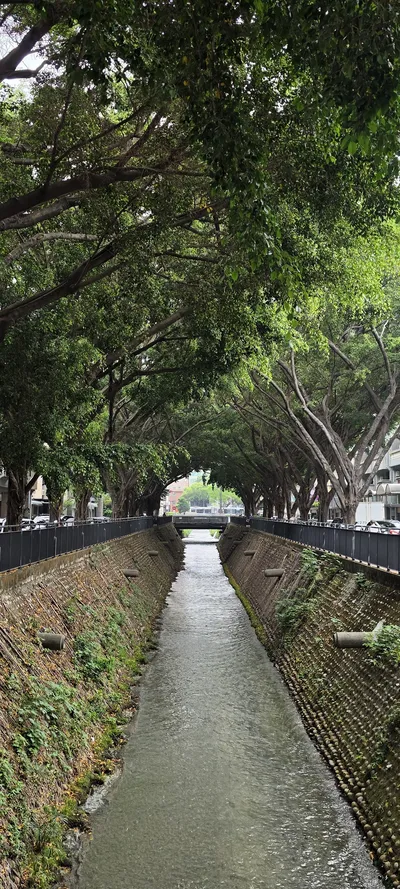 River & Lake & Street travel wallpaper
