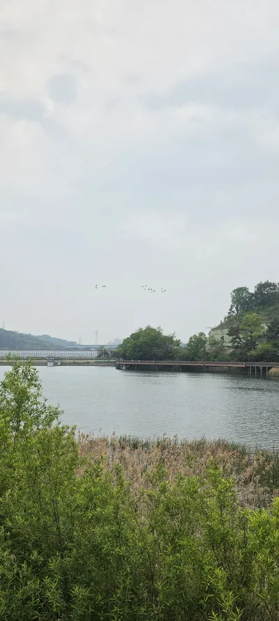 Korean Nature & River & Lake & Mountains & Trails aesthetic wallpaper for phone