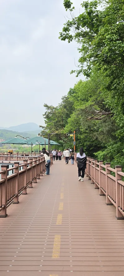 Korean Parks & Gardens & River & Lake & Nature aesthetic wallpaper for phone
