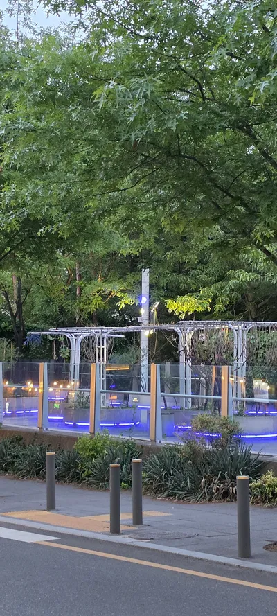Korean Parks & Gardens & Seoul Nights & Street aesthetic wallpaper for phone