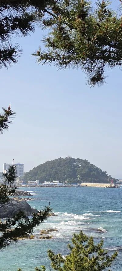 Korean Sea & Coast & Nature & Forest aesthetic wallpaper for phone