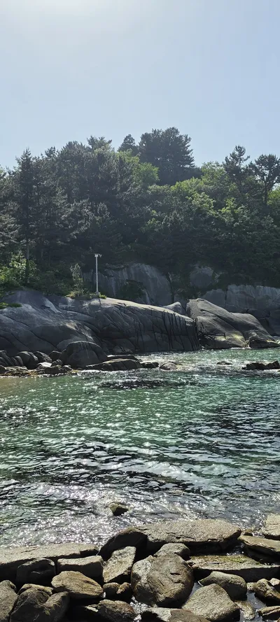 Korean Sea & Coast & Nature & Forest aesthetic wallpaper for phone