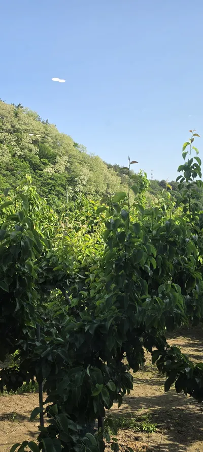 Gangwon-do
