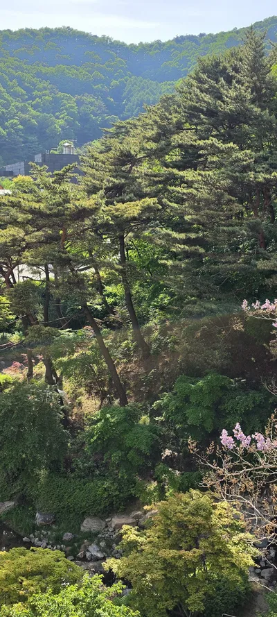 Korean Mountains & Trails & Nature & Parks & Gardens aesthetic wallpaper for phone